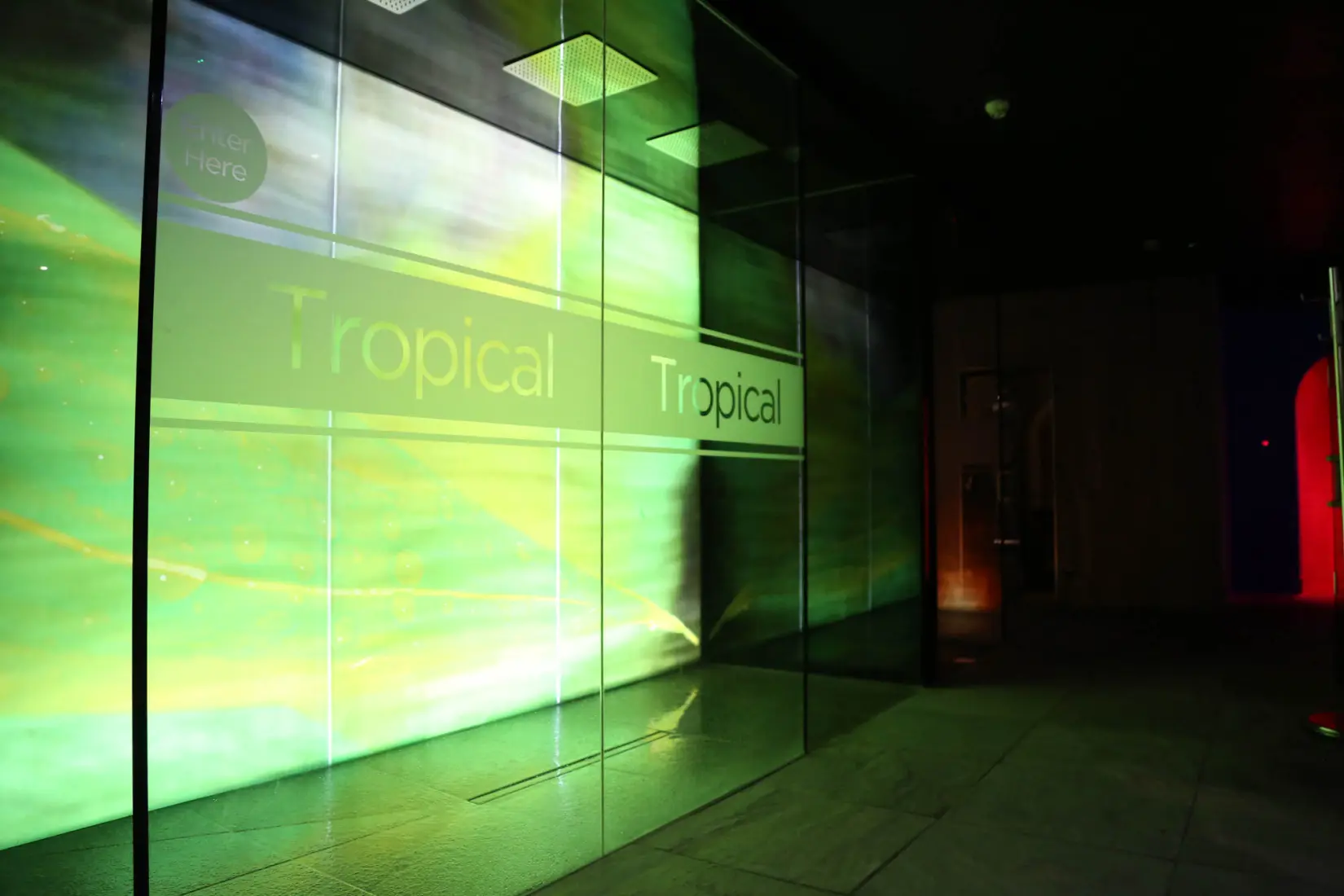 An image of one of the tropical heat rooms at Eden Hall