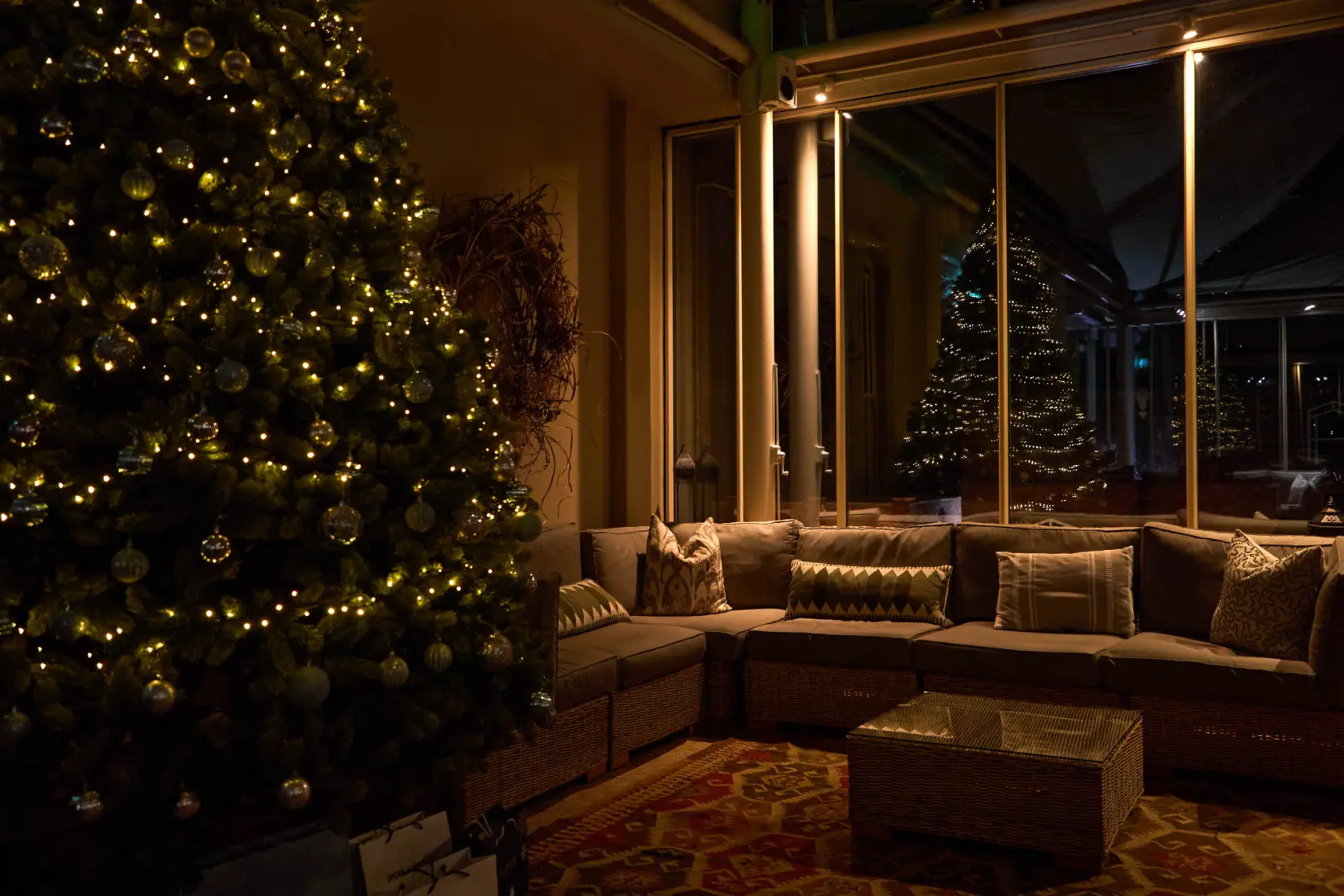 An image of an outdoor Christmas tree