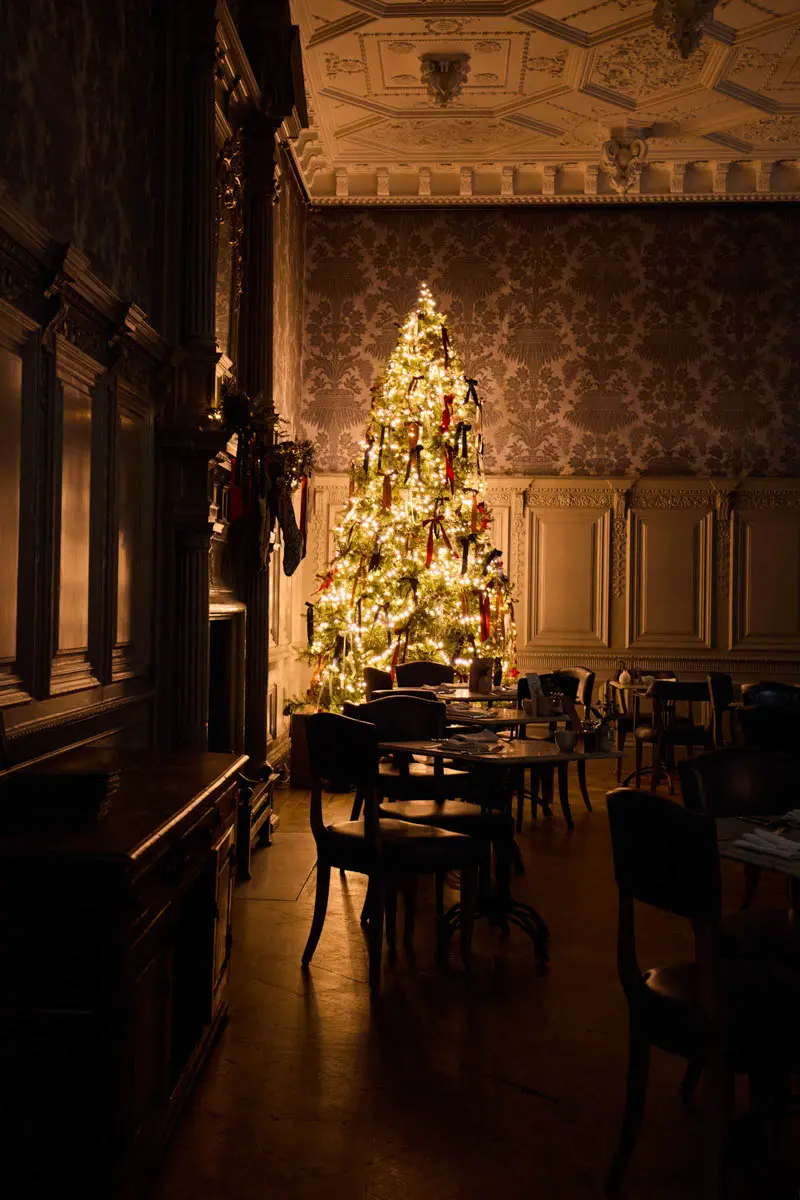 An image of a Christmas tree at Hoar Cross Hall