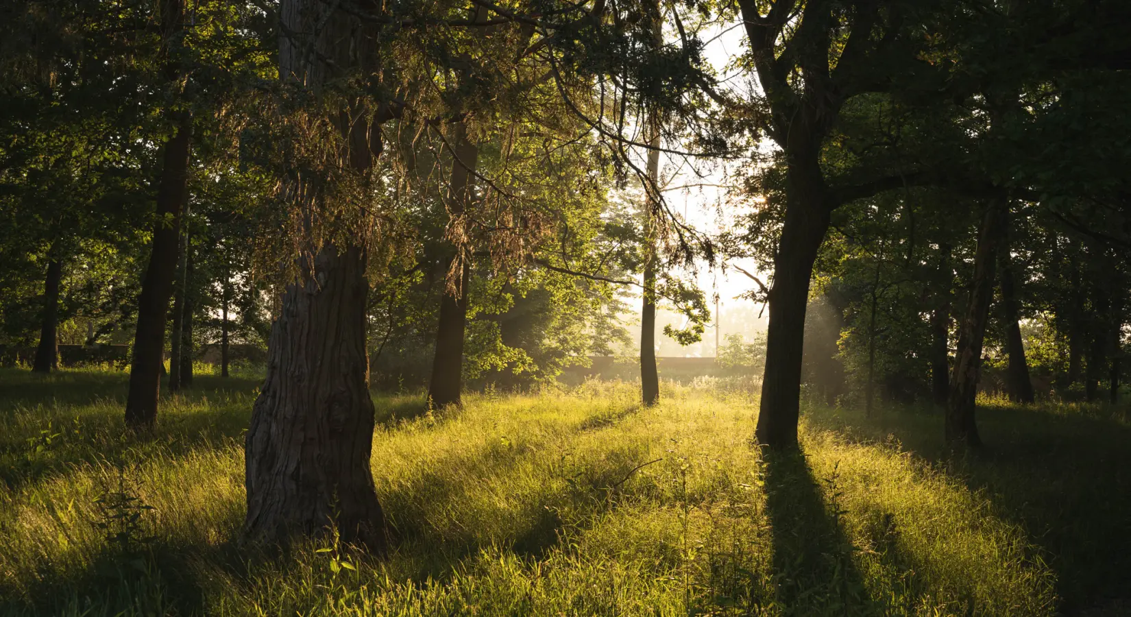 An image of the exterior at Hoar Cross Hall