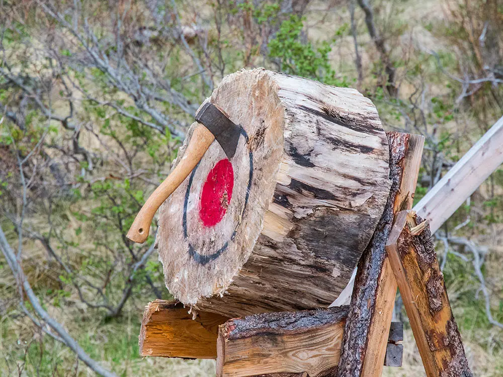 Axe Throwing