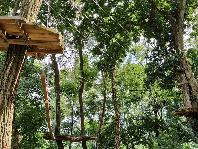 Local Attractions-Cannock Chase