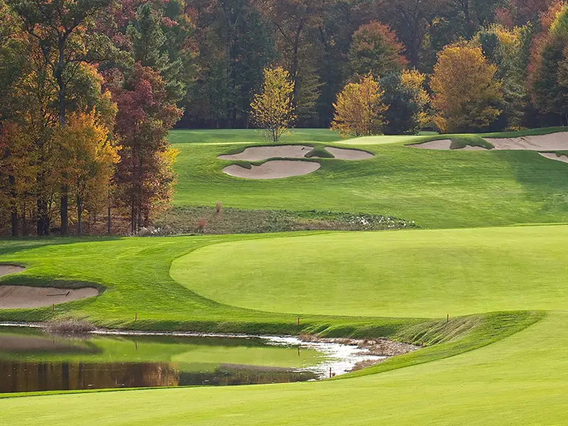 Local Attractions-Local Golf Courses
