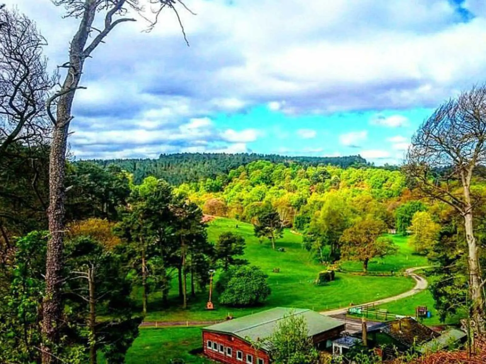 Local Attractions-Oakedge Shooting Ground