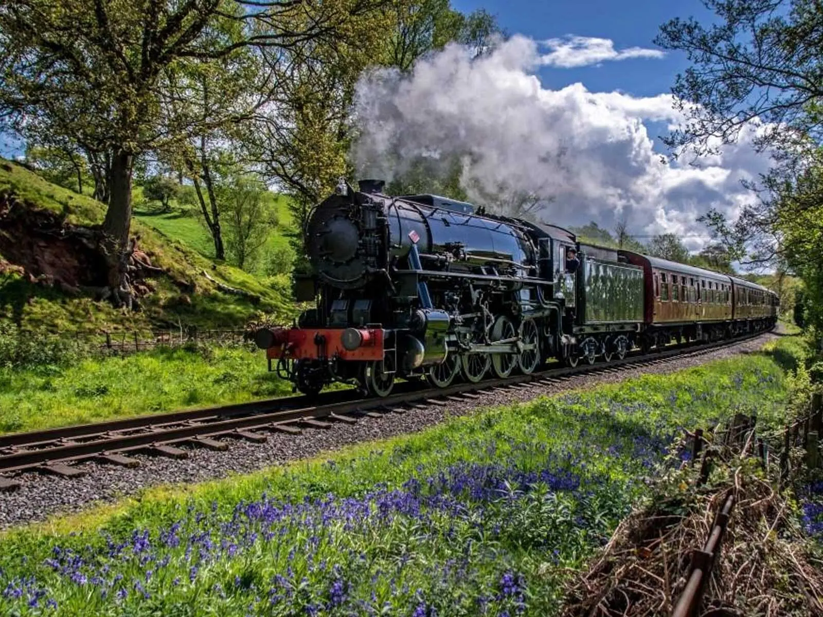 Local Attractions-Churnet Valley Railway