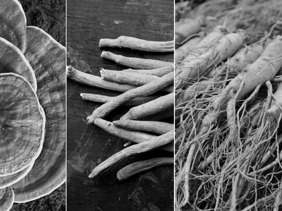 Grown Alchemist Treatments