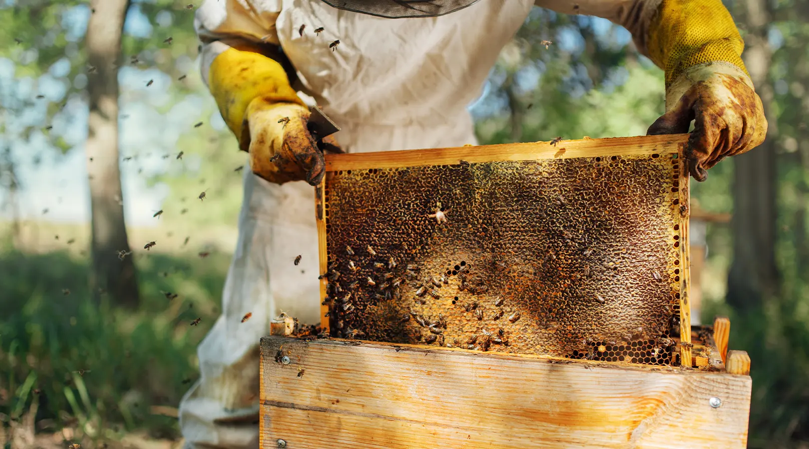 our sustainability journey blog