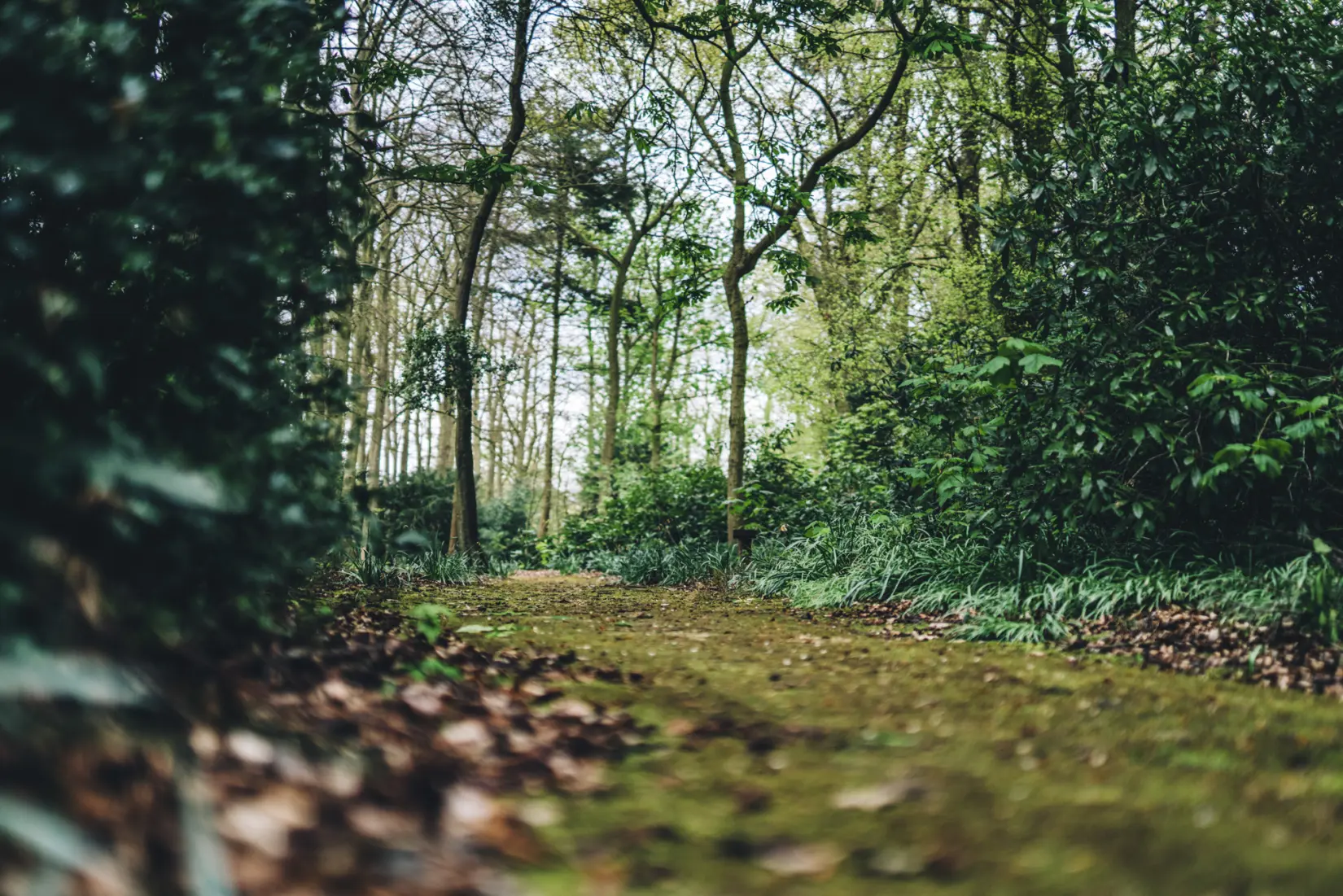 Hoar Cross Hall Sustainability Our Planet