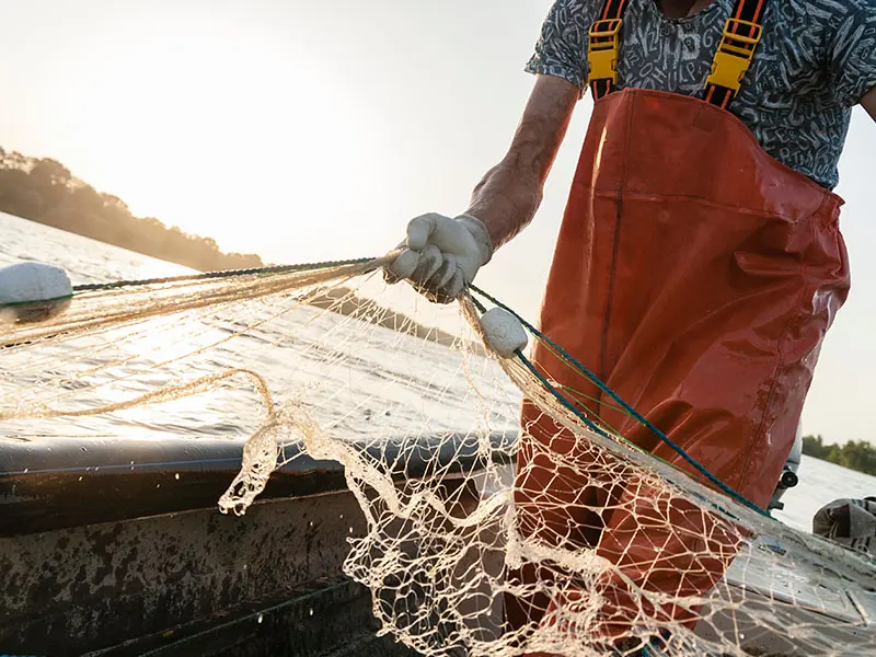 Sustainability - Our Suppliers Brixham Fish Market
