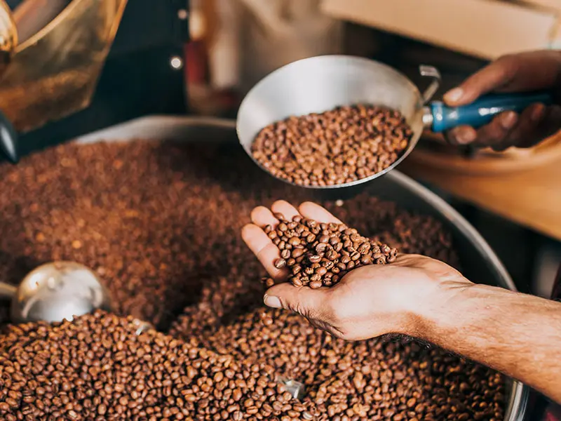 Sustainability - Our Suppliers Extract Coffee